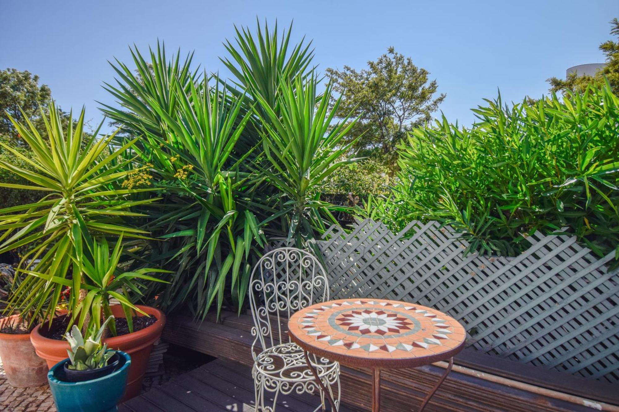 Estoril Prime Stay Экстерьер фото